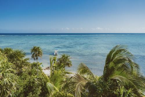 Jashita, Tulum