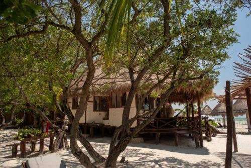 Casa Takywara, Holbox