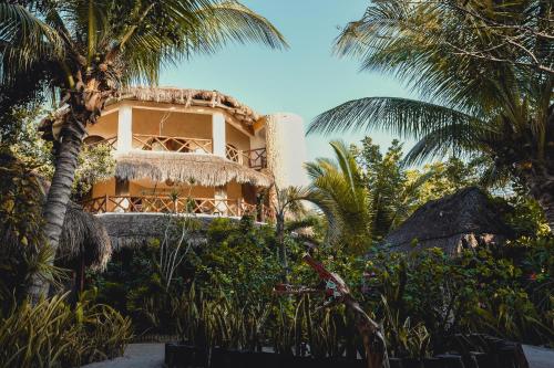 Casa Takywara, Holbox