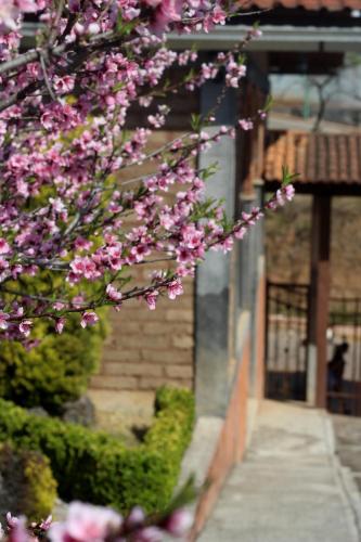 Cabañas una Cosita de Zacatlán, Zacatlán