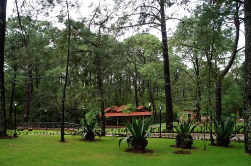 Rincón del Bosque, Mazamitla