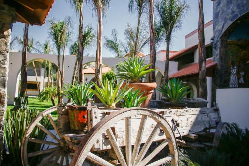 Hacienda 1800, Cuatro Ciénegas