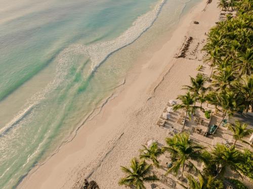 Chiringuito, Tulum