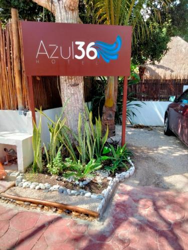 Azul 36, Bacalar