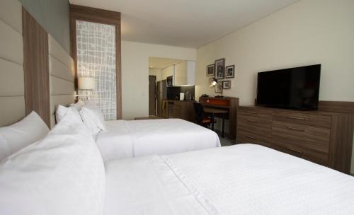 Homewood Suites by Hilton Silao Aeropuerto, Silao