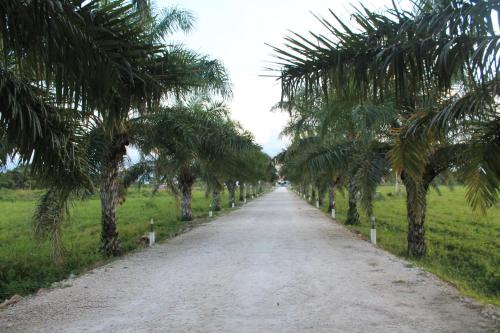 Real Primaveras Campestre, Escárcega