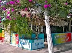 Maya Cha'an Hostel, Cancún