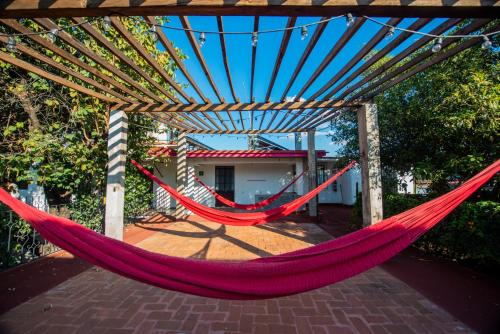 Agrado Guest House, Oaxaca