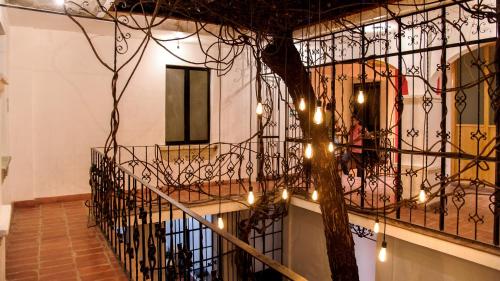 Agrado Guest House, Oaxaca