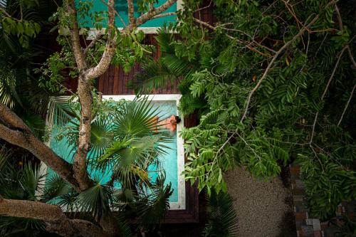 Hostel Che, Tulum