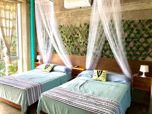 Hostal Tortuga, Sayulita