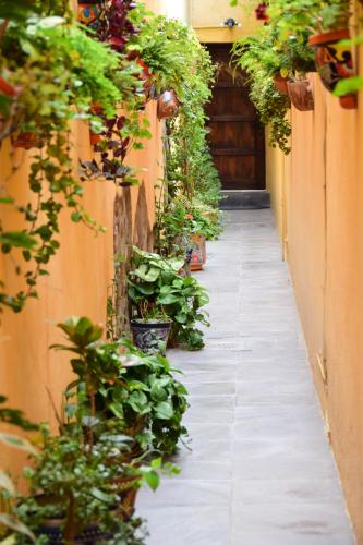 Casa Maricela, San Miguel de Allende