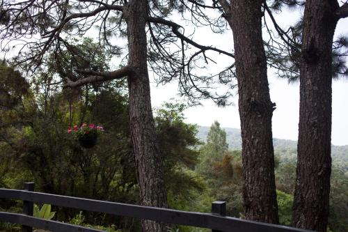 Monteverde Cabañas, Mazamitla