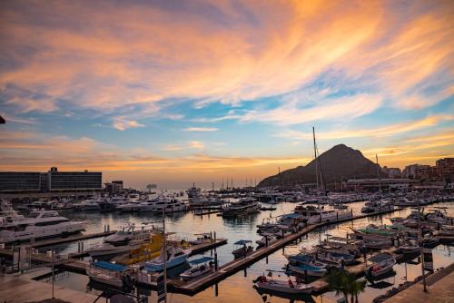 Tesoro Los Cabos, Los Cabos