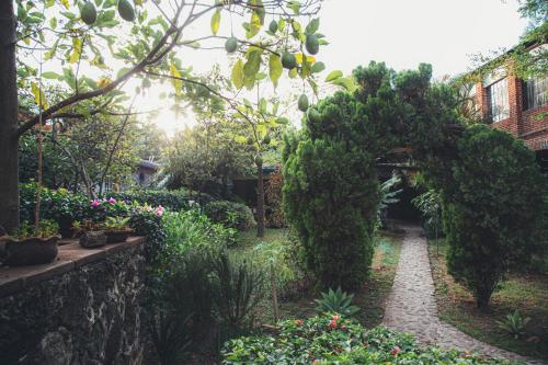 Posada Del Valle, Tepoztlán